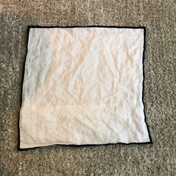 Pottery Barn Belgian Flax Linen Contrast Euro Sham - Picture 5 of 6